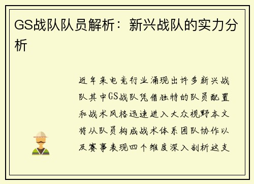 GS战队队员解析：新兴战队的实力分析