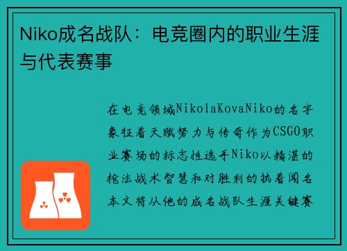 Niko成名战队：电竞圈内的职业生涯与代表赛事